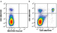 Anti Mouse CD4 Antibody, clone RM4-5 gallery image 75