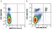 Anti Mouse CD4 Antibody, clone RM4-5 thumbnail image 78