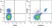 Anti Mouse CD4 Antibody, clone RM4-5 thumbnail image 9