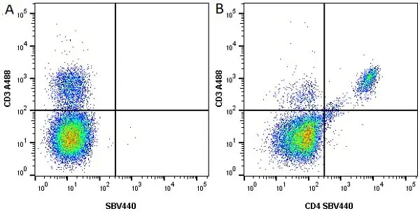 Anti Mouse CD4 Antibody, clone RM4-5 gallery image 9