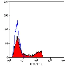 Anti Mouse CD4 Antibody, clone YTS191.1 gallery image 1