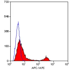 Anti Mouse CD4 Antibody, clone YTS191.1 gallery image 3