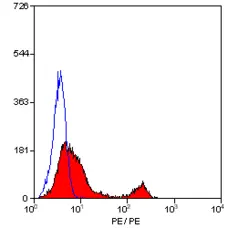 Anti Mouse CD4 Antibody, clone YTS191.1 gallery image 4