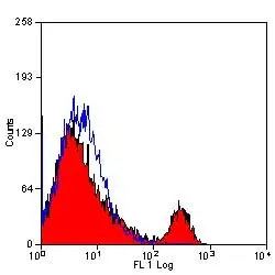 Anti Mouse CD4 Antibody, clone YTS191.1 gallery image 6