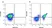 Anti Mouse CD41 Antibody, clone MWReg30 thumbnail image 1