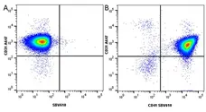 Anti Mouse CD41 Antibody, clone MWReg30 gallery image 10