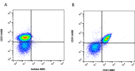 Anti Mouse CD41 Antibody, clone MWReg30 | Bio-Rad