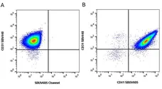 Anti Mouse CD41 Antibody, clone MWReg30 gallery image 12