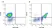 Anti Mouse CD41 Antibody, clone MWReg30 thumbnail image 2