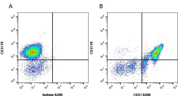 Anti Mouse CD41 Antibody, clone MWReg30 gallery image 2