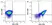Anti Mouse CD41 Antibody, clone MWReg30 thumbnail image 6