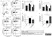 Anti Mouse CD41 Antibody, clone MWReg30 thumbnail image 8