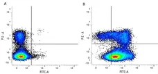 Anti Mouse CD44 Antibody, clone 5035-41.1D gallery image 1