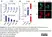 Anti Mouse CD44v6 Antibody, clone 9A4 thumbnail image 1