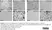 Anti Mouse CD45 Antibody, clone IBL-3/16 thumbnail image 1