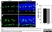 Anti Mouse CD45 Antibody, clone IBL-3/16 thumbnail image 10