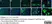 Anti Mouse CD45 Antibody, clone IBL-3/16 thumbnail image 11