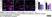 Anti Mouse CD45 Antibody, clone IBL-3/16 thumbnail image 13