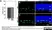 Anti Mouse CD45 Antibody, clone IBL-3/16 thumbnail image 8