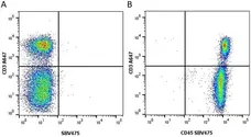Anti Mouse CD45 Antibody, clone YW62.3 gallery image 11