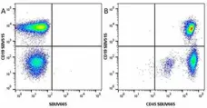 Anti Mouse CD45 Antibody, clone YW62.3 gallery image 12