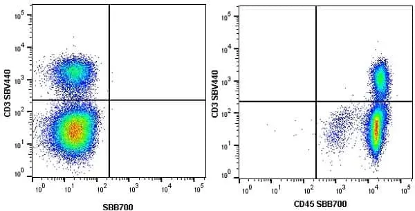 Anti Mouse CD45 Antibody, clone YW62.3 gallery image 6