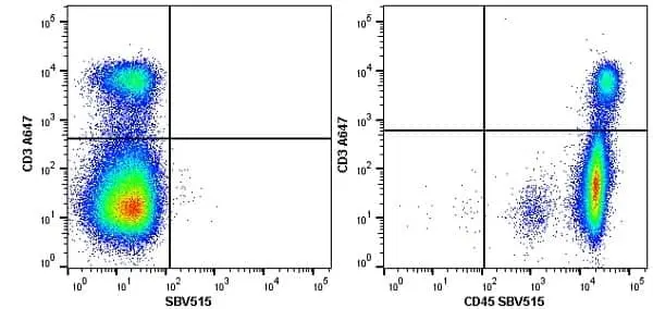 Anti Mouse CD45 Antibody, clone YW62.3 gallery image 7