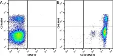 Anti Mouse CD45 Antibody, clone YW62.3 gallery image 9