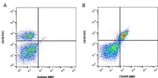 Anti Mouse CD45R Antibody, clone RA3-6B2 gallery image 1