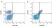 Anti Mouse CD45R Antibody, clone RA3-6B2 thumbnail image 1
