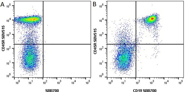 Anti Mouse CD45R Antibody, clone RA3-6B2 gallery image 12