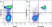 Anti Mouse CD45R Antibody, clone RA3-6B2 thumbnail image 13