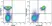 Anti Mouse CD45R Antibody, clone RA3-6B2 thumbnail image 14