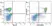Anti Mouse CD45R Antibody, clone RA3-6B2 thumbnail image 16