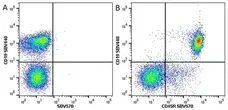 Anti Mouse CD45R Antibody, clone RA3-6B2 gallery image 19