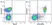 Anti Mouse CD45R Antibody, clone RA3-6B2 thumbnail image 19
