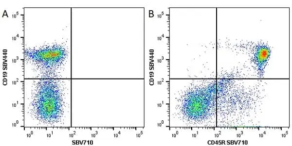 Anti Mouse CD45R Antibody, clone RA3-6B2 gallery image 20