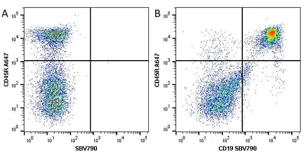 Anti Mouse CD45R Antibody, clone RA3-6B2 gallery image 22