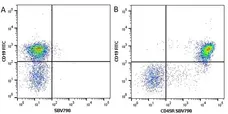 Anti Mouse CD45R Antibody, clone RA3-6B2 gallery image 23