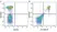 Anti Mouse CD45R Antibody, clone RA3-6B2 thumbnail image 26