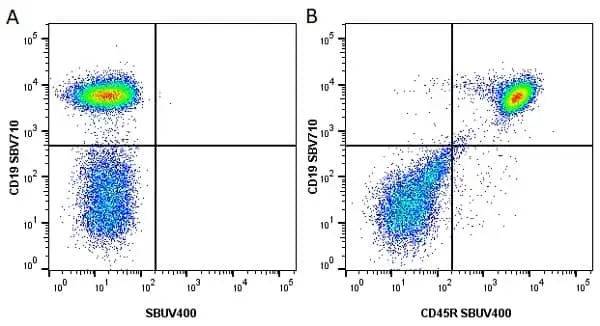 Anti Mouse CD45R Antibody, clone RA3-6B2 gallery image 27