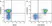 Anti Mouse CD45R Antibody, clone RA3-6B2 thumbnail image 28