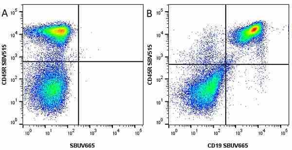 Anti Mouse CD45R Antibody, clone RA3-6B2 gallery image 32