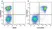 Anti Mouse CD45R Antibody, clone RA3-6B2 thumbnail image 42