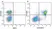 Anti Mouse CD45R Antibody, clone RA3-6B2 thumbnail image 44