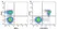 Anti Mouse CD45R Antibody, clone RA3-6B2 thumbnail image 50