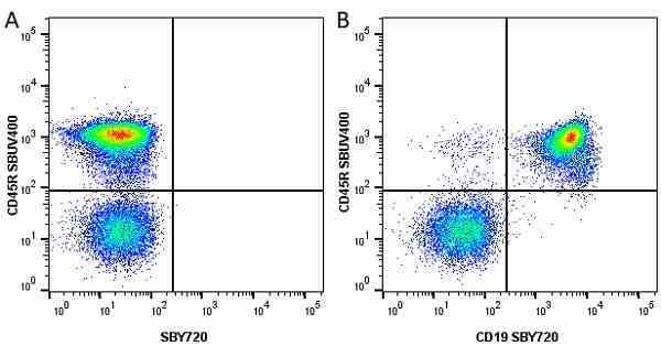 Anti Mouse CD45R Antibody, clone RA3-6B2 gallery image 54