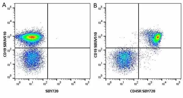 Anti Mouse CD45R Antibody, clone RA3-6B2 gallery image 54