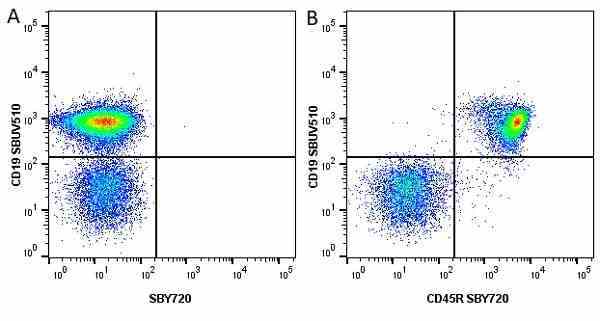 Anti Mouse CD45R Antibody, clone RA3-6B2 gallery image 55