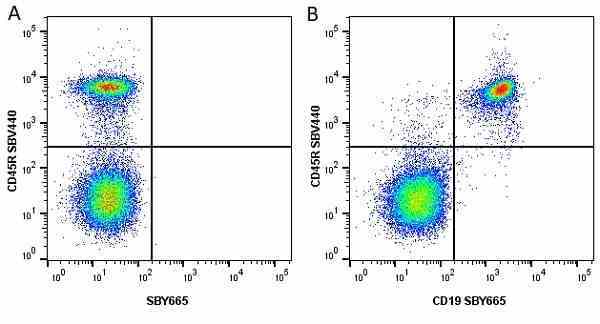 Anti Mouse CD45R Antibody, clone RA3-6B2 gallery image 58